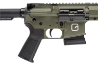 Clawgear CG15 .223 REM Sniper Green